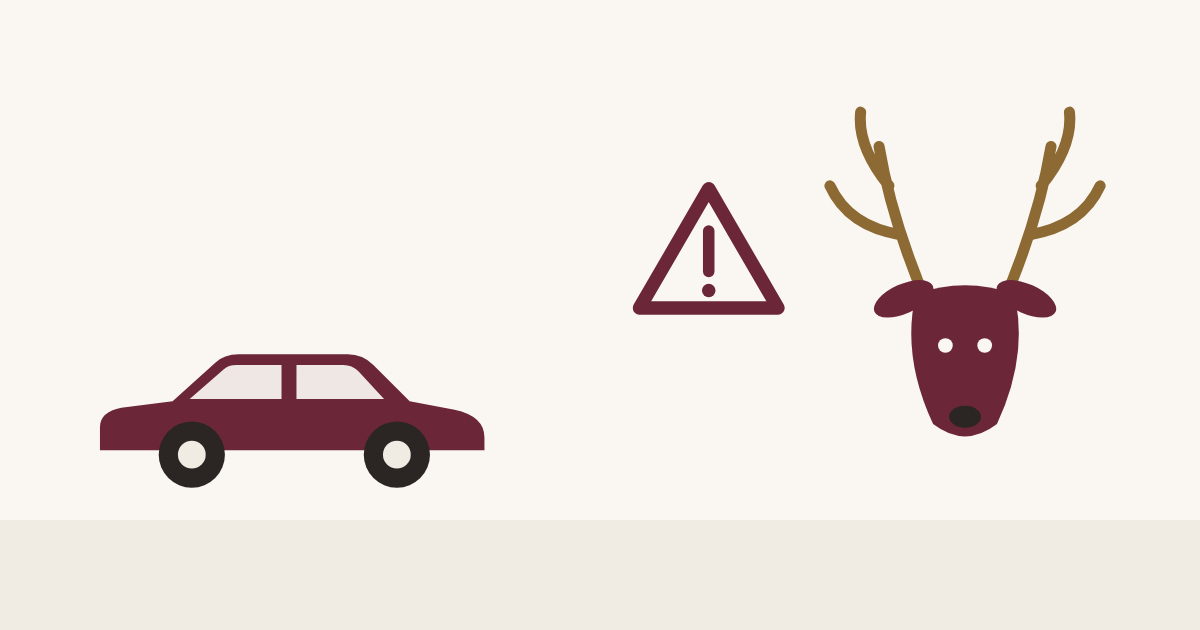 Voiture et cerf sauvage sur la route